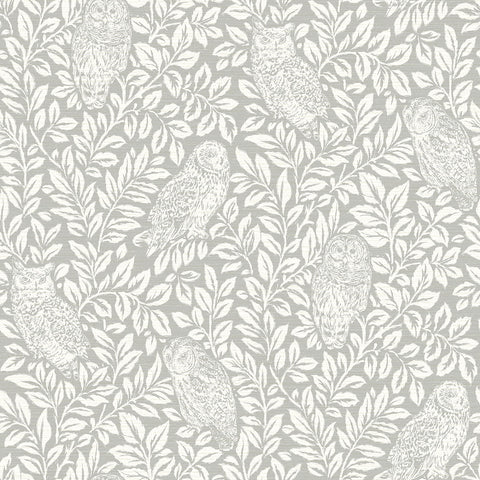 Parliament Light Grey Owl Wallpaper