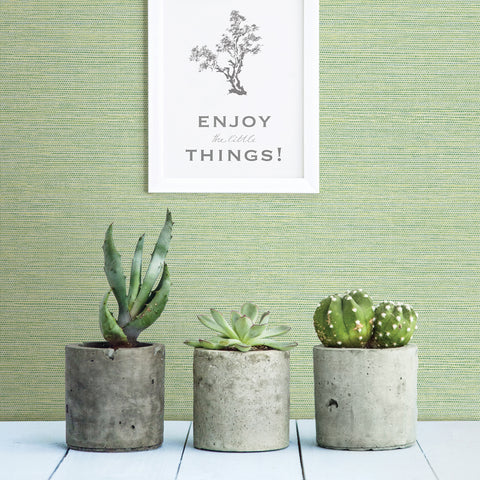 3117-24284 Agave Green Faux Grasscloth Wallpaper