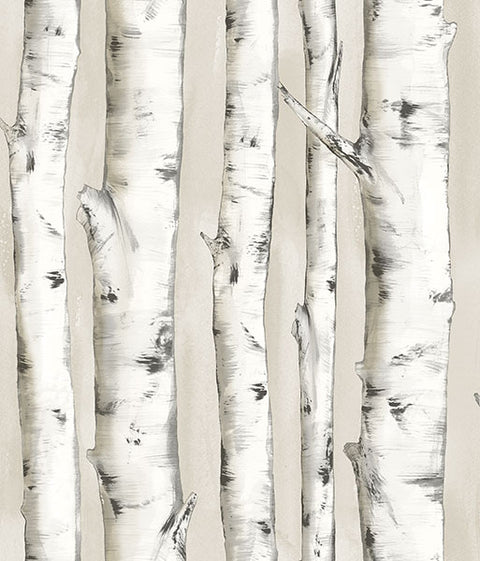 3118-12601 Pioneer Off-White Birch Tree Wallpaper