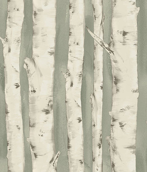 3118-12603 Pioneer Sage Birch Tree Wallpaper