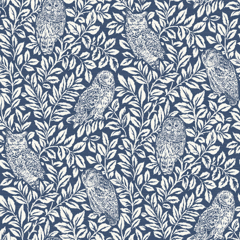 3123-12412 Parliament Navy Owl Wallpaper