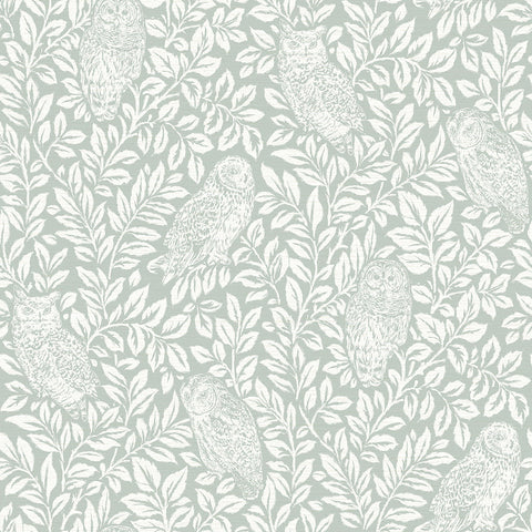 3123-12414 Parliament Seafoam Owl Wallpaper