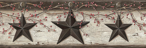 3123-44601 Ennis Black Rustic Barn Star Border