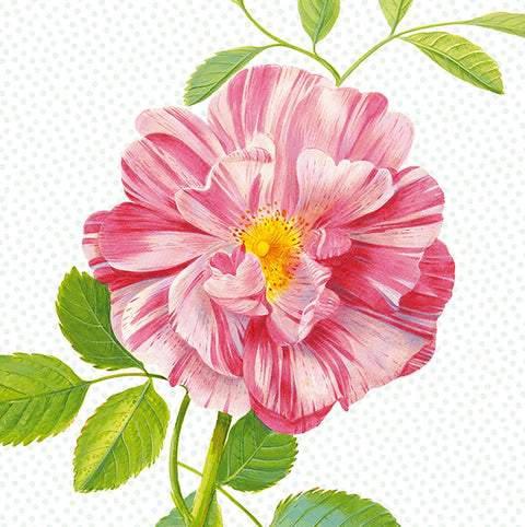 Peony Wall Mural