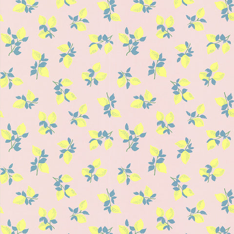 Citron Soft Pink Juicy Lemon Wallpaper