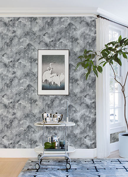 4019-86476 Toula Charcoal Abstract Wallpaper