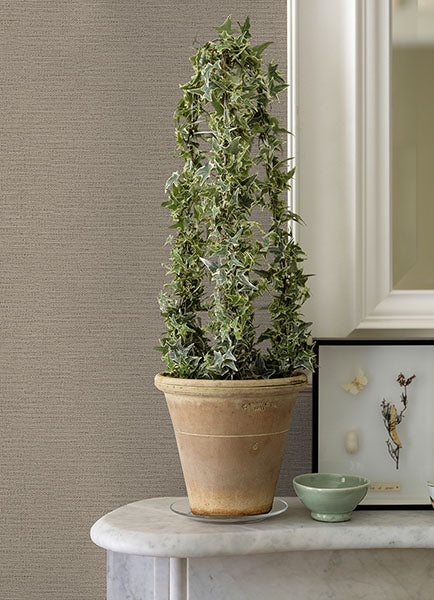 4044-30689-3 Canseco Beige Distressed Texture Wallpaper