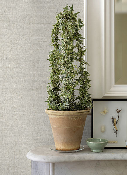4044-32262-2 Ayala Off-White Distressed Wallpaper