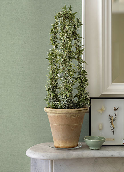 4044-37178-8 Estefan Green Distressed Texture Wallpaper