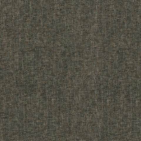 Cardiff 408232 Sable Performance+ Fabric