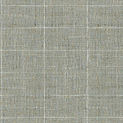Concord Pane 408504 Mist Performance+ Fabric
