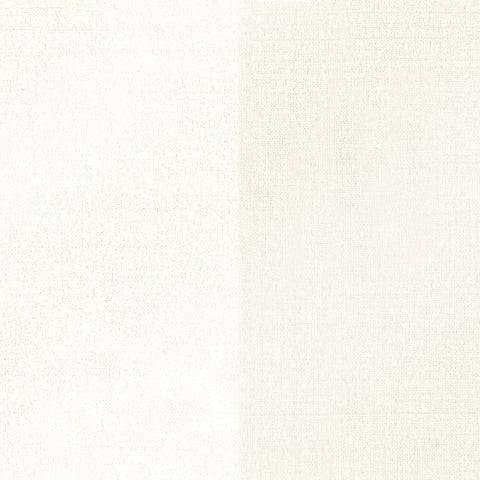 Kashi Silver Grasscloth Wallpaper