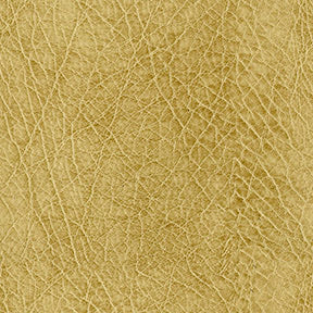 Abilene 606 Honey Fabric