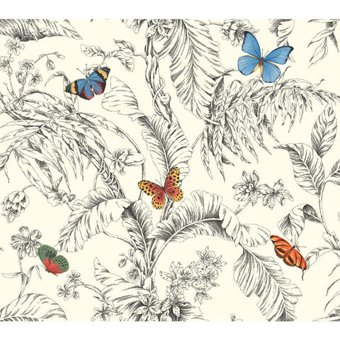 AF2025 Black Red Blue Papillion Butterfly Toile Wallpaper