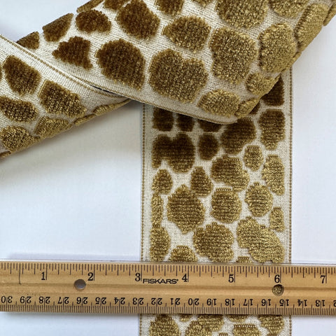 Alpas Topaz 3.5 inch Antique Gold Cut Velvet Europatex Tape Trim