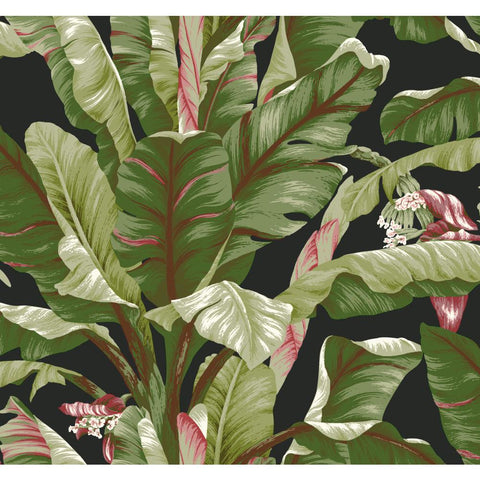 AT7071 Black Green Banana Leaf Wallpaper