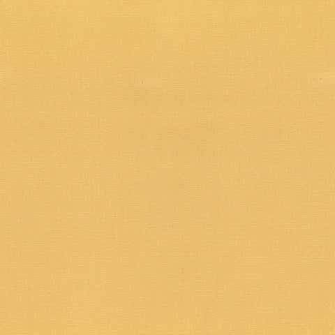 Bayou Sunshine Regal Fabric