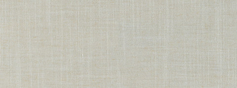 Belfast Backed 117 Shell Covington Fabric