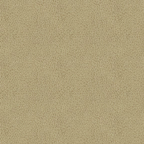 Claro 6003 Beige Fabric