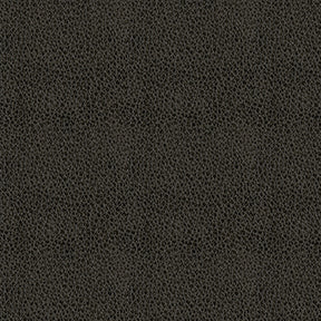 Claro 909 Charcoal Fabric