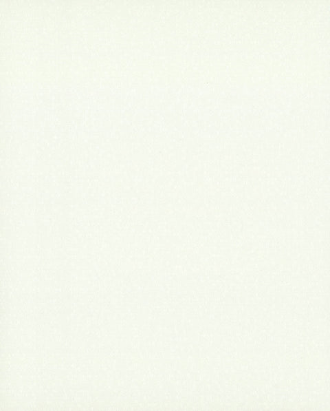 COD0502N White/Off Whites Honey Bee Wallpaper