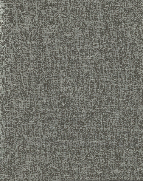 COD0532N Blacks Sweet Birch Wallpaper