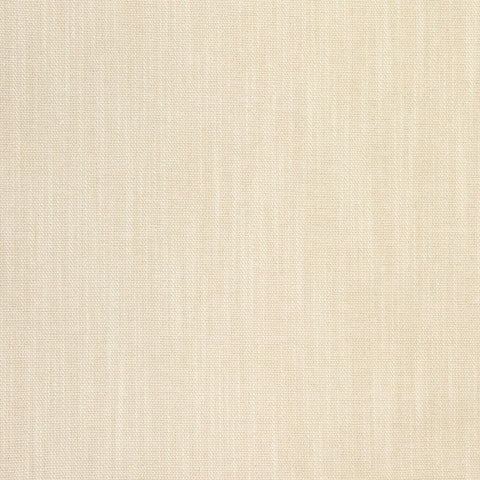 Daily Custard Crypton Fabric