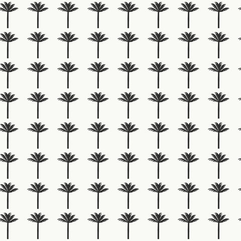 CV4417 Black Palm Bay Wallpaper