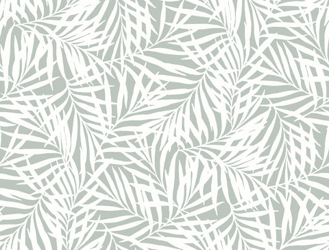 CV4434 Light Green White Oahu Fronds Wallpaper