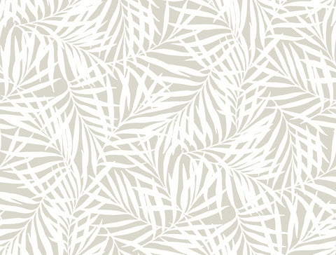 CV4436 Cream Off White Oahu Fronds Wallpaper