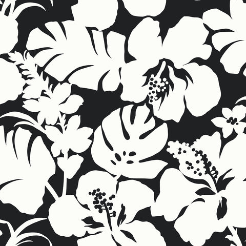 CV4442 Black Hibiscus Arboretum Wallpaper