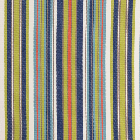 Dexter Multi Bella Dura Fabric