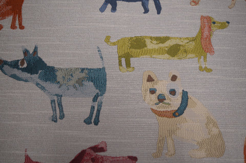 More close up variety of dogs