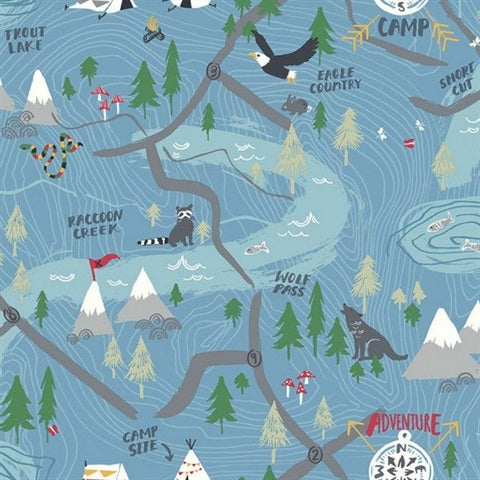 FA41902 Campground Wallpaper