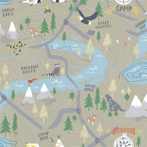 FA41906 Campground Wallpaper