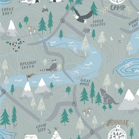 FA41908 Campground Wallpaper