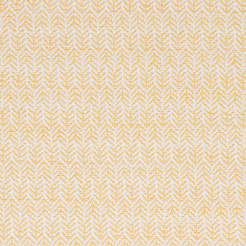 Festoon Lemon Bella Dura Home Fabric