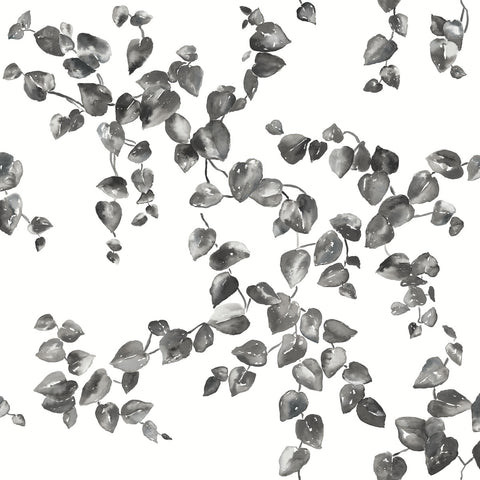 FH4038 Black/White Creeping Fig Vine Wallpaper