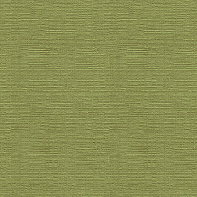 Heavenly 2008 Chartreuse Fabric