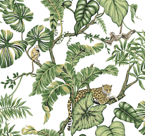 HO2145 White Jungle Cat Wallpaper