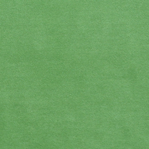 Plush 13 Europatex Fabric