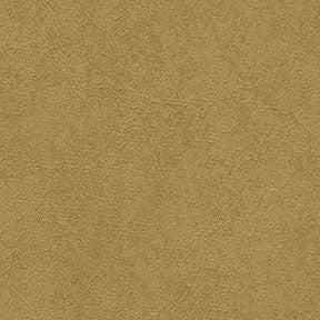 Midship 8884 Rawhide Fabric