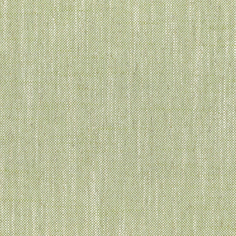Nate Lime Regal Fabric