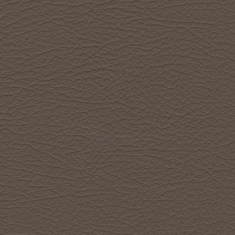 Nuance 2463 Med. Neutral Fabric