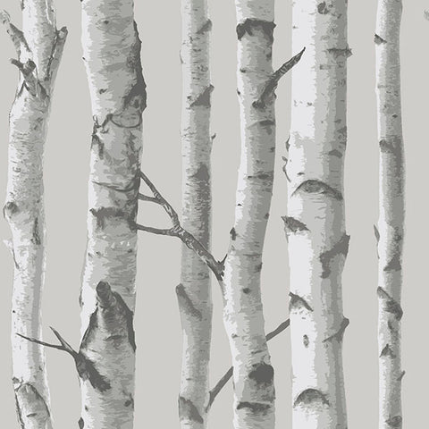 NU1694 Mountain Birch Grey Peel and Stick Wallpaper