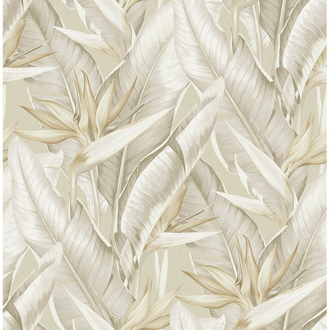 Kenneth James Palm Springs Arcadia Wallpaper (2754_PS40205)