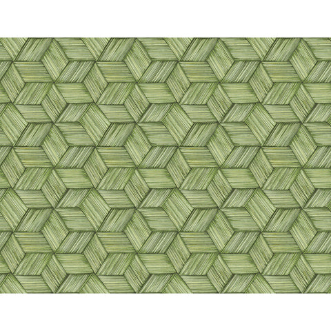 Kenneth James Palm Springs Intertwined Wallpaper (2754_PS41414)