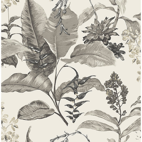 Kenneth James Palm Springs Maui Wallpaper (2754_PS41800)