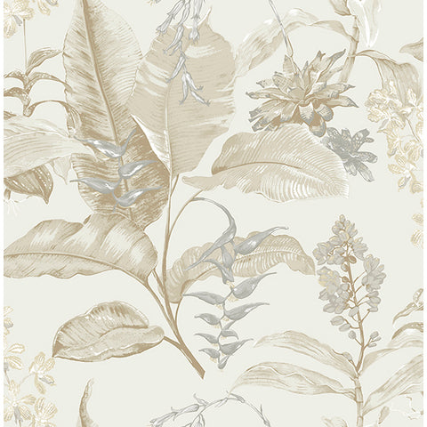 Kenneth James Palm Springs Maui Wallpaper (2754_PS41805)
