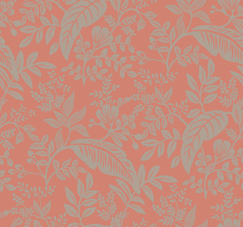 RI5135 Rose Canopy Wallpaper